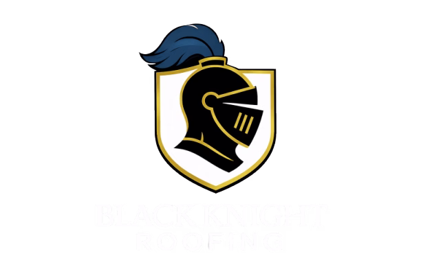 Our Company